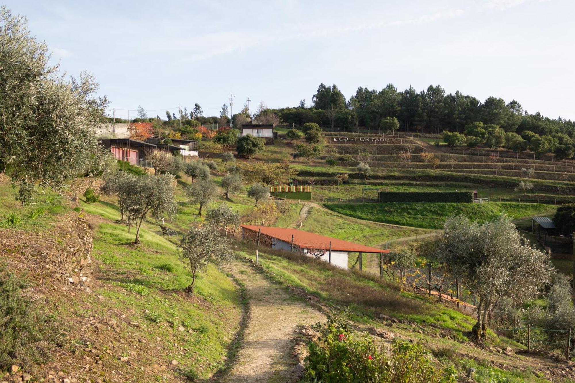 Ecofurtado Dom wakacyjny